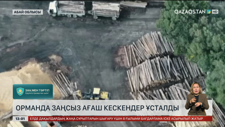 Абай облысында ағашты заңсыз кескендер ұсталды