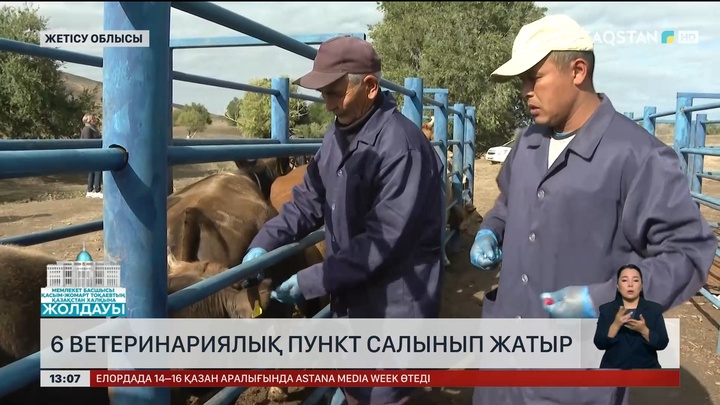 Жетісу облысында тағы 6 ветеринариялық пункт салынып жатыр