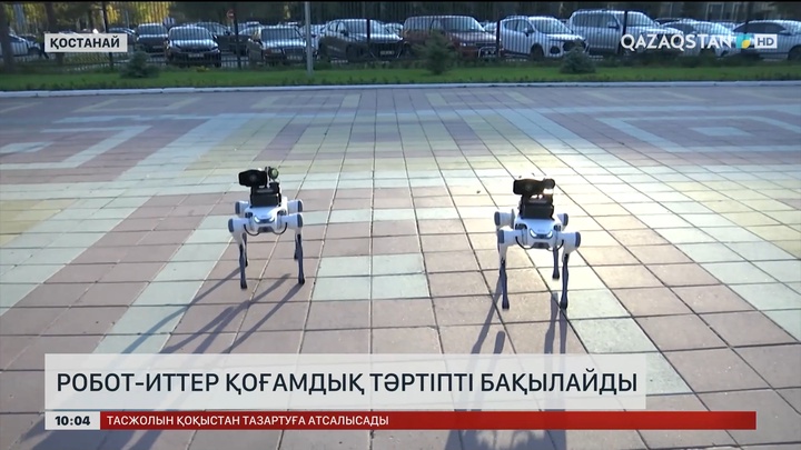 Робот-иттер қоғамдық тәртіпті бақылайды 