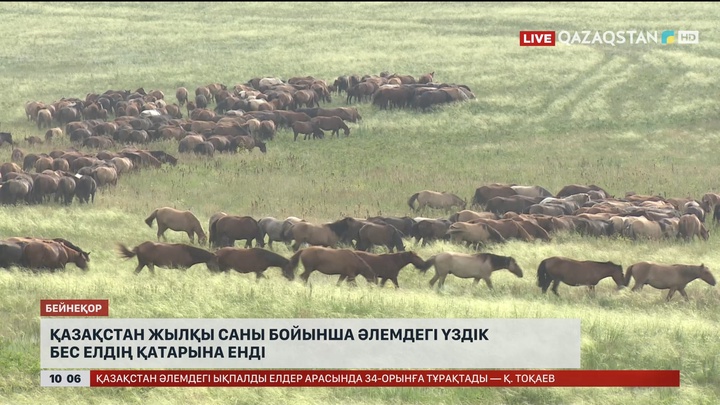 Қазақстан жылқы саны бойынша әлемдегі үздік бес елдің қатарына енді