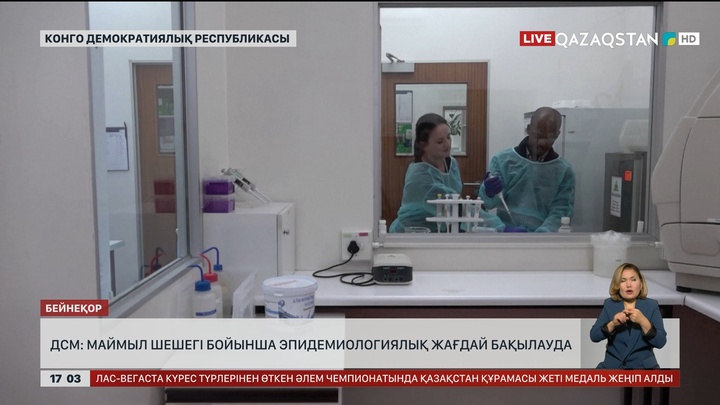 ДСМ: Маймыл шешегі бойынша жағдай бақылауда