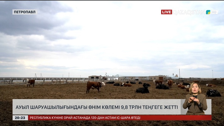 Ауыл шаруашылығындағы өнім көлемі 9,8 трлн теңгеге жетті