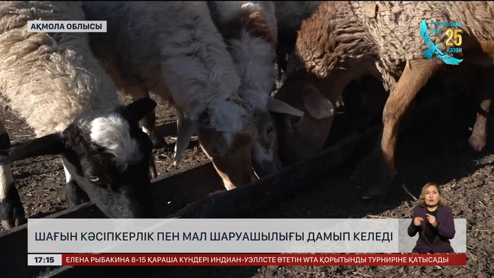 Ақмола облысында шағын кәсіпкерлік пен мал шаруашылығы дамып келеді