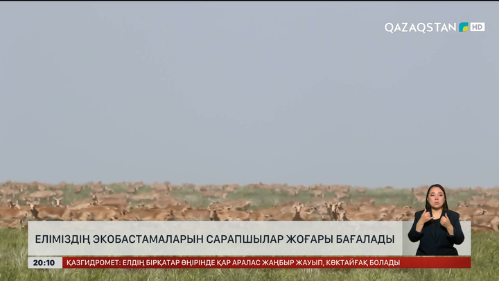 Еліміздің экобастамаларын сарапшылар жоғары бағалады
