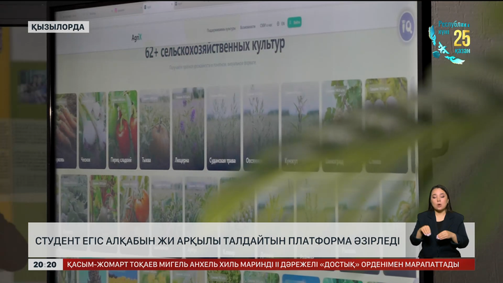 Студент егіс алқабын ЖИ арқылы талдайтын платформа әзірледі