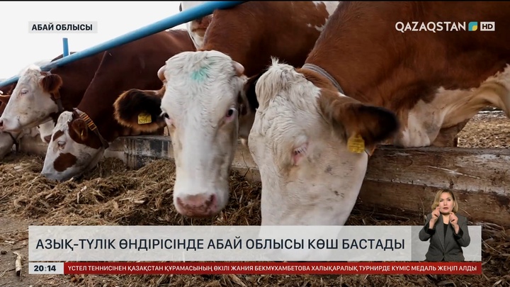 Азық-түлік өндірісінде Абай облысы көш бастады
