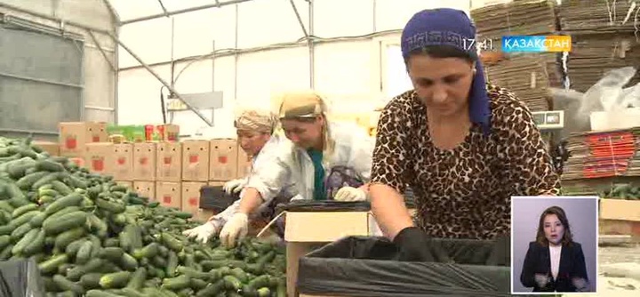 Астанада Қостанай және ОҚО күндері басталды