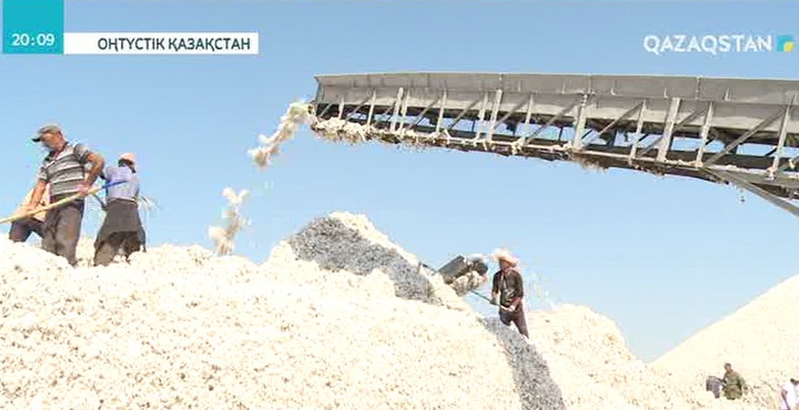 Биыл мақтаның өнімділігі төмен