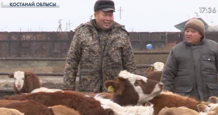 Қостанай облысына оңтүстіктен 11 отбасы көшіп келді