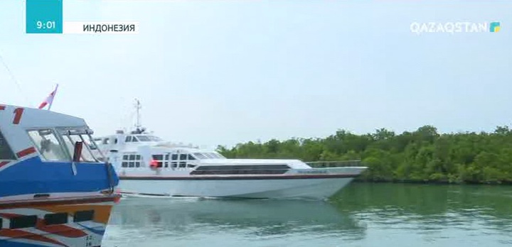 Индонезияның Батам аралы «Азияның силикон жазығына» айналмақ