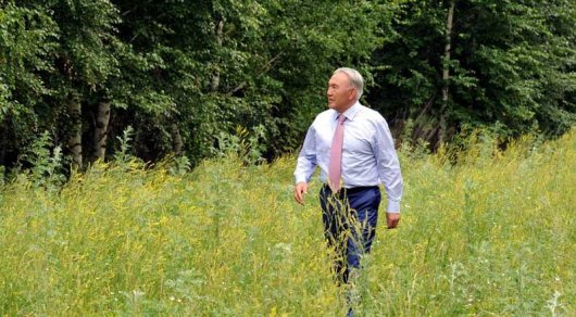 Жасыл аймақтағы орман - Астананың берік қорғаны - Н.Назарбаев