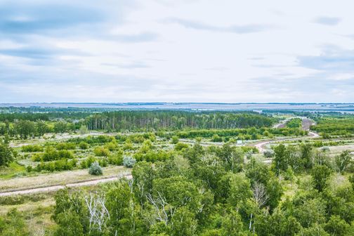 Жасыл аймақтағы орман - Астананың берік қорғаны 