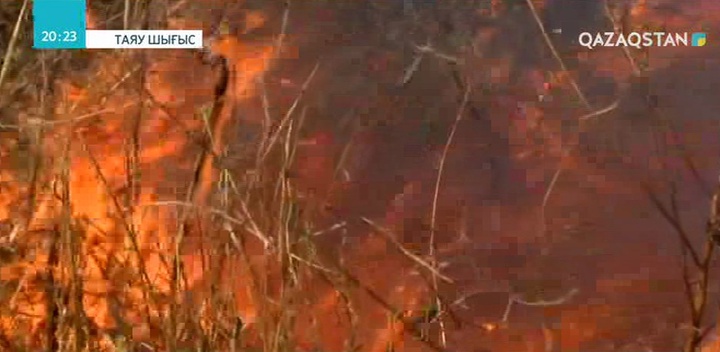 Палестиналықтар Израиль аумағына өрт тұтандыратын батпырауықтар ұшыруда