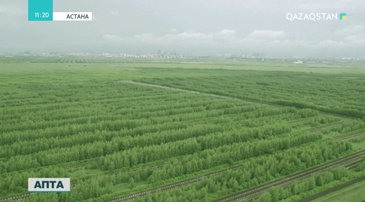 Осы аптада Н.Назарбаев Астанадағы жасыл белдеуді дамыту барысымен танысты