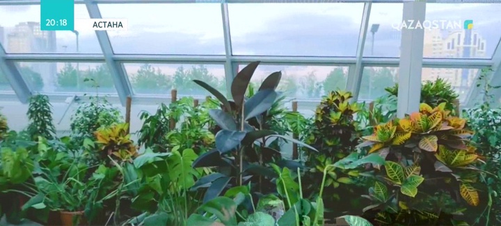 Елорданың ботаникалық бағында ғылыми аймақ құрылады