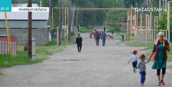 Шу ауданында үш адамды өлтірді деген күдікті ұсталды