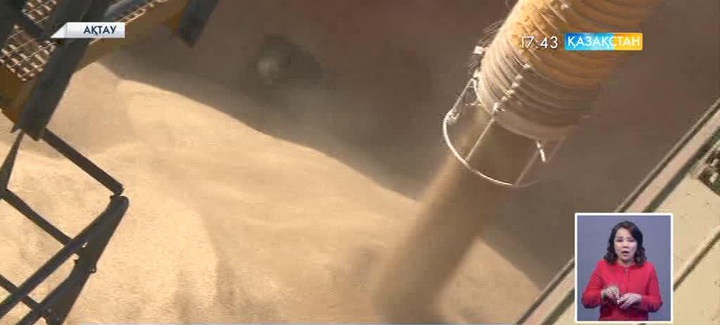 Қазақ бидайы Иранға жөнелтілді 