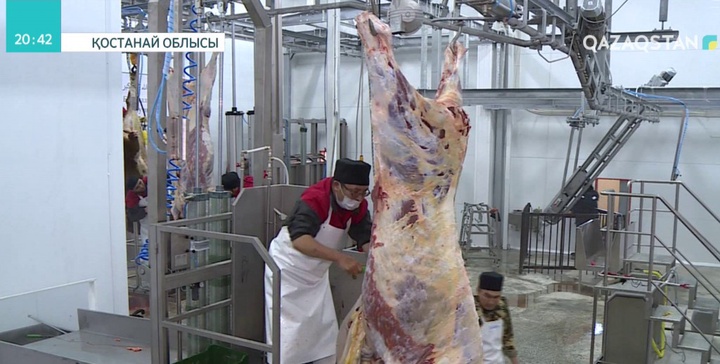 Арқалық қаласында жаңа ет комбинаты жұмысын бастады