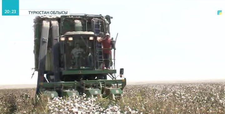 Түркістан облысының диқандары отандық ғалымдардың өнертабысын мақта егу ісінде пайдалана алады