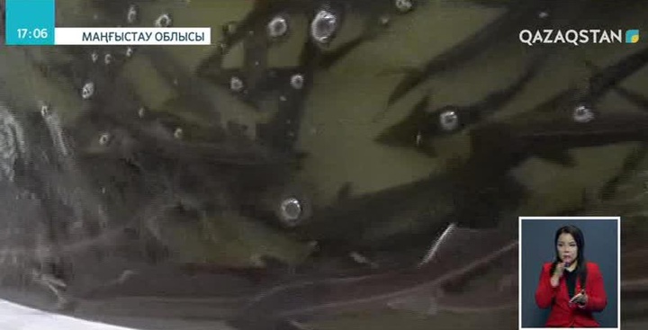 Сапасыз өнім шығынға батырды