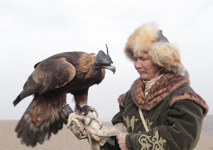 «Айтуға оңай...». Саятшылық өнер ме, әлде спорт па? (ВИДЕО)