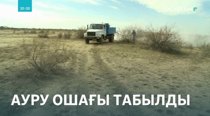 Қызылорда облысында кененің табиғи ошағы көбейген