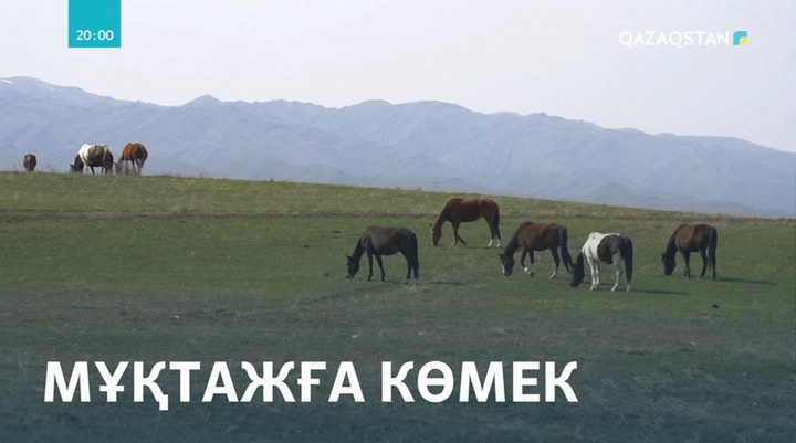Қазақ-қырғыз шекарасында ұсталған жылқыларды жоқ-жітікке таратып беру керек