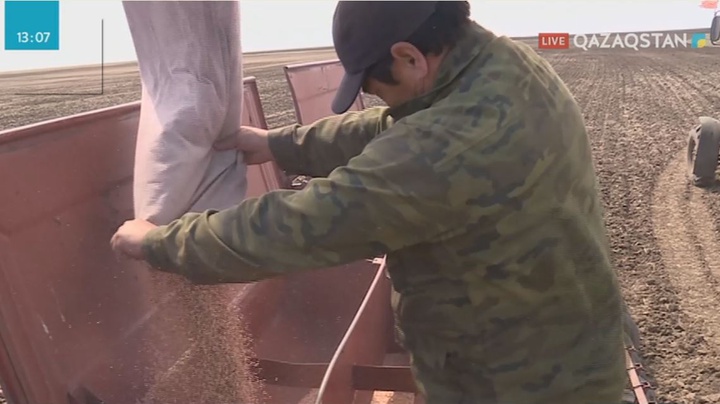 Қостанай облысында көктемгі егіс науқаны басталды
