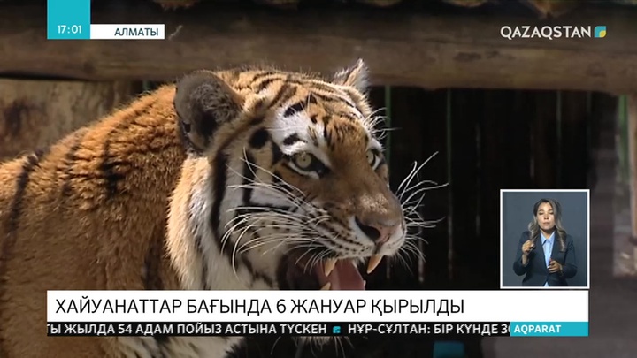 Алматы хайуанаттар бағында 6 жануар өлді