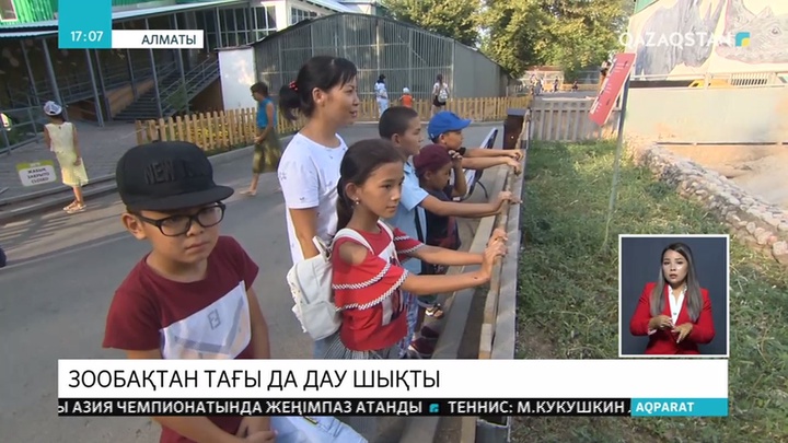 Алматы хайуанаттар бағының ұжымы жануарлардың қорғаушыларын сотқа берді
