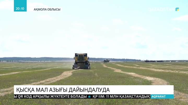 Ақмола облысында қысқа дайындық қызу жүріп жатыр