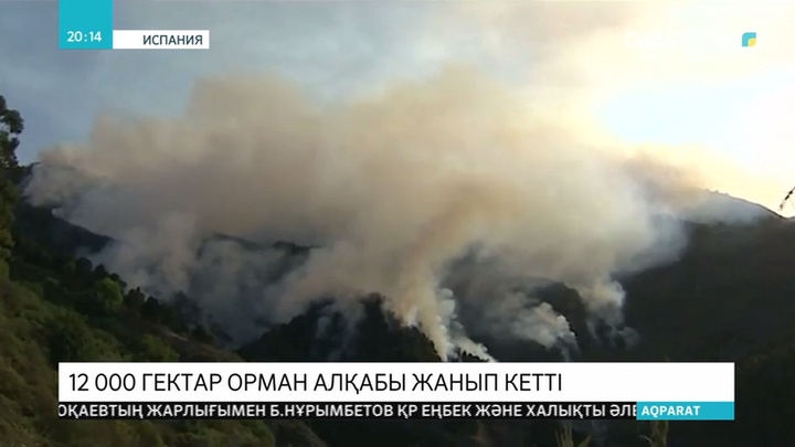 Испанияның оңтүстігінде орман өрті өршіп барады
