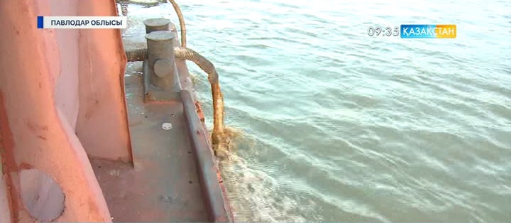 Биыл Павлодар облысында шыбын-шіркеймен күрес ерте басталды