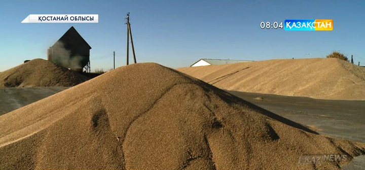 Қостанай облысында егін орағы аяқталды