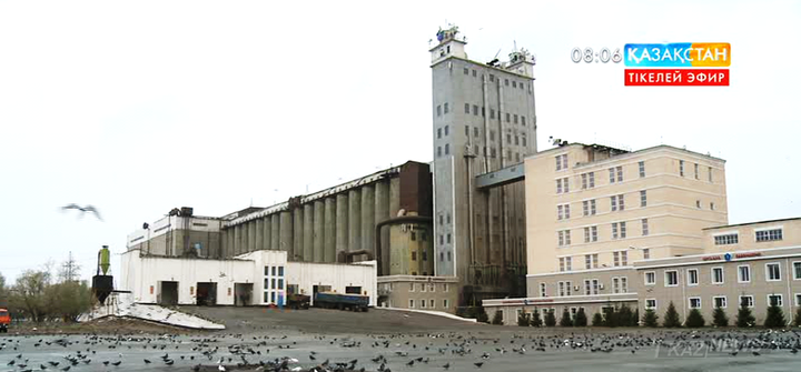 Ақмола облысында жиналған астықты кептіру жұмыстары қызу жүріп жатыр