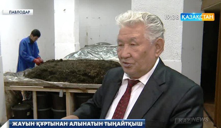 Павлодарлық профессор Болатжан Мұстафаев топырақ құнарлылығын қалпына келтіруге тиімді әдіс ұсынуда