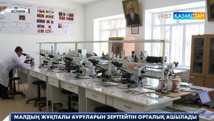 Астанадағы агротехникалық университет жанынан малдың жұқпалы  ауруларын анықтайтын зертхана ашылмақ