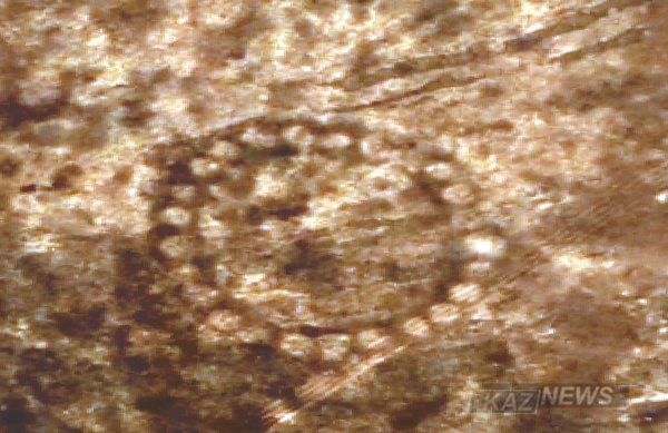 NASA  Торғай даласындағы  геоглифтерді ғарыштан суретке  түсірді