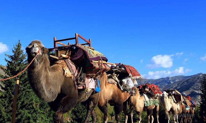 Қауымдастық мүшелері оралмандармен кездесті