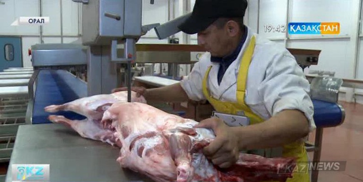 Орал өңіріндегі «БатысМарқаЛамб» ет өңдеу кешені өз өнімін шетелге шығармақ