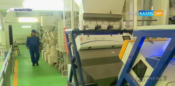 «Nestlé» компаниясы Қызылорданың күрішін шоколад өндірісіне  пайдаланбақ