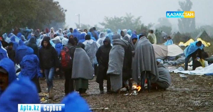 Еуропаның көптеген елдері экономикалық мигранттарды кері қайтара бастады