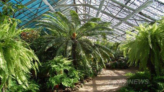 «Достық саябағы» ашылады