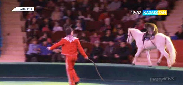 Алматыдағы Қазақ Мемлекеттік циркі «Жаңа жылдық сафари» атты жаңа бағдарламасын ұсынды