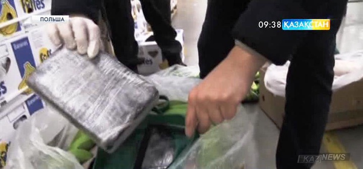 Польша полициясы банан тиеген жүк көлігінен 178 келі кокаин тәркіледі