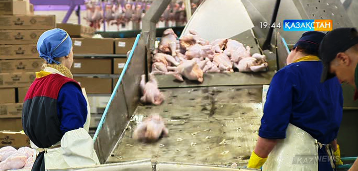 Елдегі құс фермалары өнімдерін 30 пайызға қымбаттатпақ