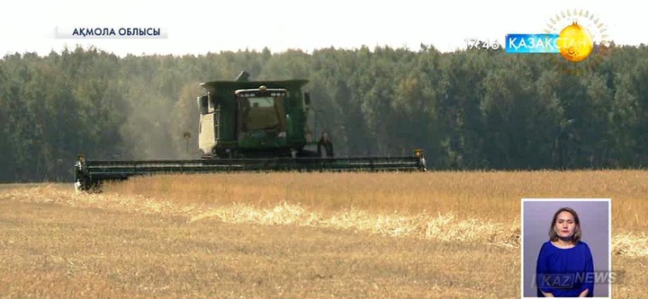 Қазақстан жарты әлемді нанмен қамтамасыз ете алады