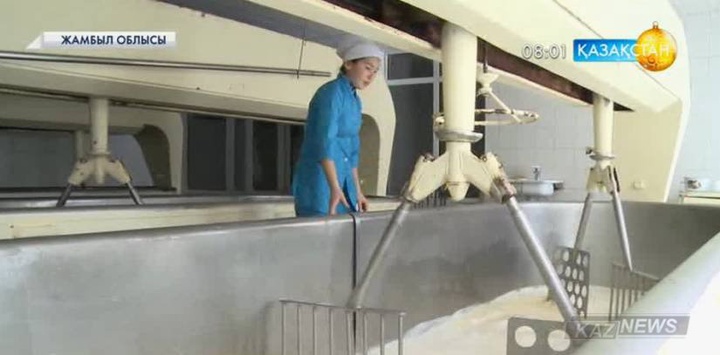 Ұлт жоспары.  Сүт  кластерін құру жұмыстары жүзеге  асырылуда