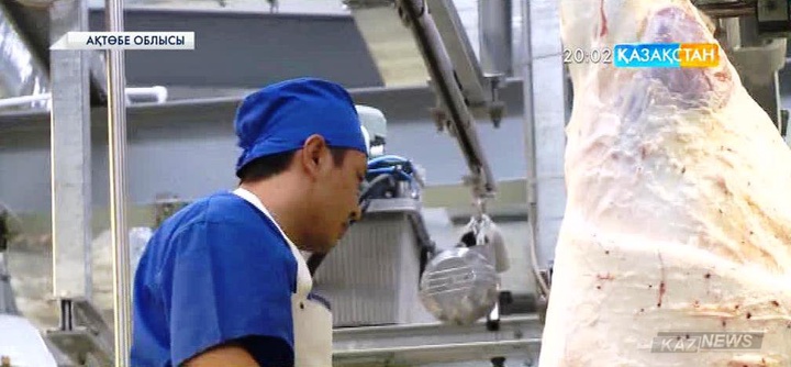 Италиялық «Inalca Eurasia» еліміздің ет өңдеу саласына 100 миллион еуродан астам қаржы құймақ