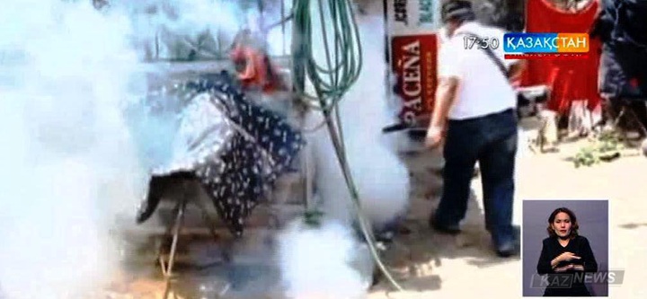 Колумбияда зика вирусын 13 мыңнан астам адам жұқтырған